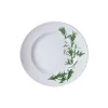 Dibbern Speiseteller 26 Cm Herbaticum Rosmarin 5